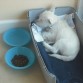 Se quedó dormida nada más llegar a casa